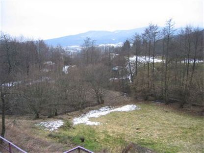 Photos